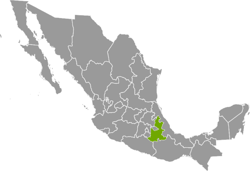 MPuebla